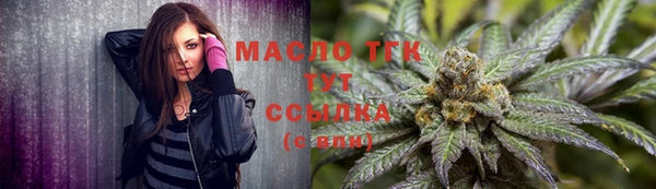 2c-b Инсар