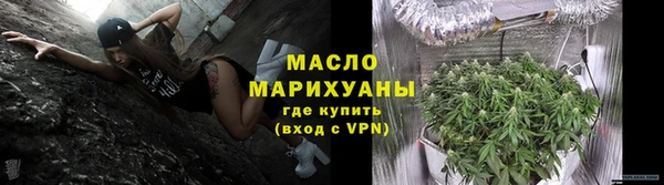 2c-b Инсар