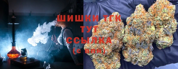 2c-b Инсар