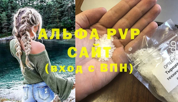 2c-b Инсар