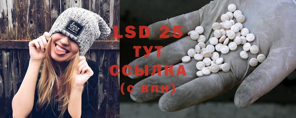 2c-b Инсар