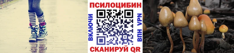 Галлюциногенные грибы Magic Shrooms  Купить закладки  Любань 